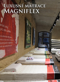 Magniflex
